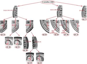 2 копейки 1940. Реверс А, Б, В, Г, Д, Е, Ж, И, К, Л, М.