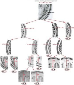 10 копеек 1928 г. Ревес С, Т, У, Ф, Х, Ш, Э, Ю, Я.